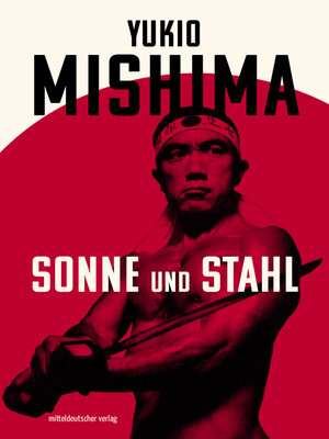 cover image of Sonne und Stahl